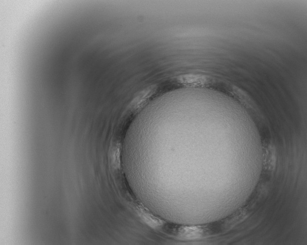 X0000080100717200612221739