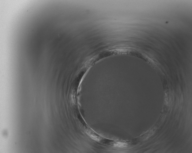 X0000080100718200612221739