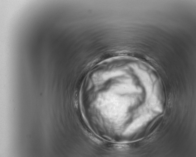 X0000080100719200612221738