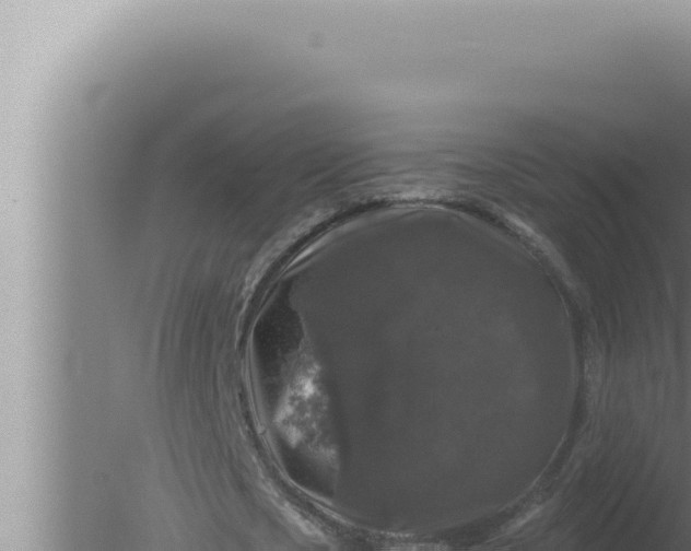 X0000080100721200612221738