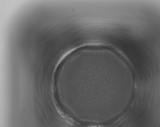 X0000080100724200612221738