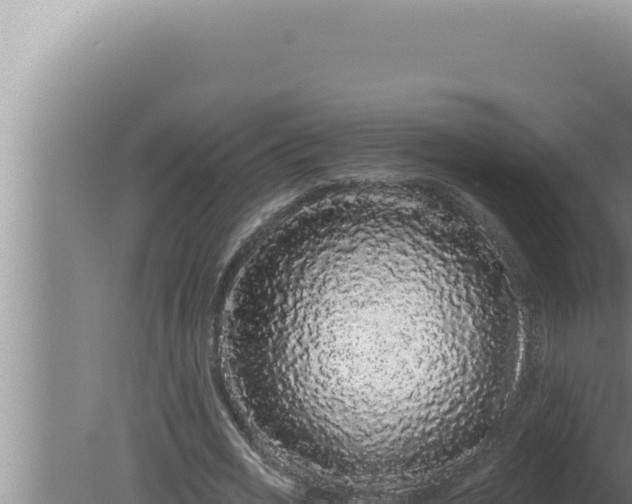 X0000080100725200612221738