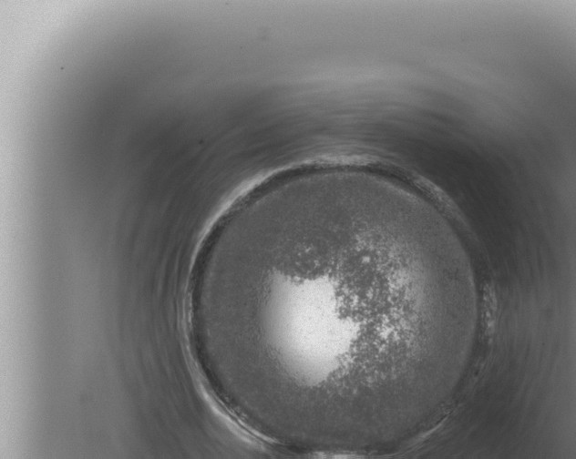 X0000080100726200612221738