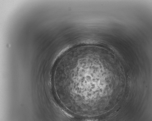 X0000080100727200612221738