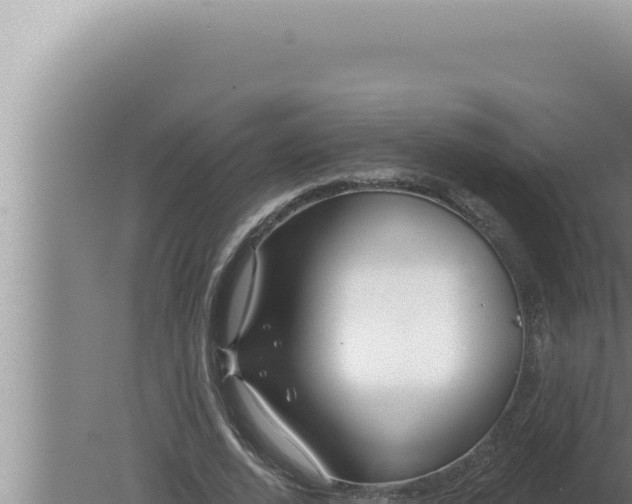 X0000080100728200612221738