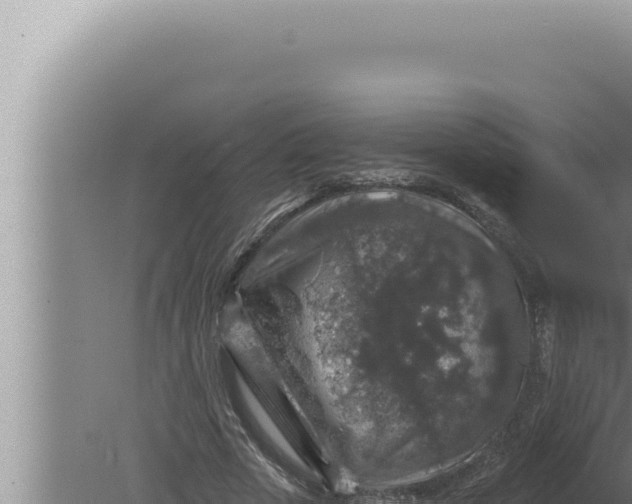 X0000080100729200612221738