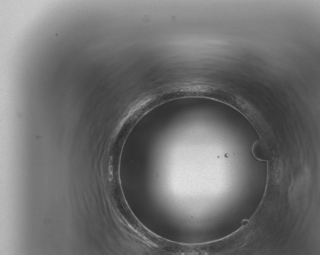 X0000080100731200612221738