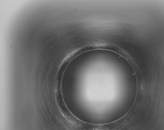 X0000080100732200612221738