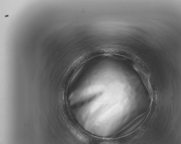 X0000080100733200612221738