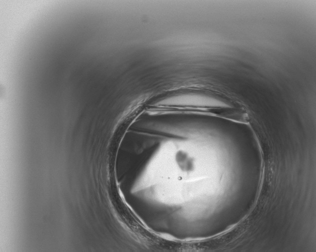 X0000080100734200612221738