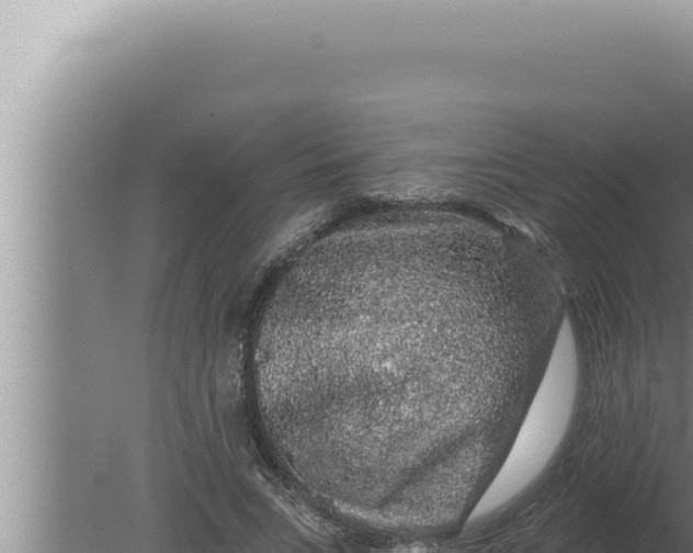 X0000080100735200612221738