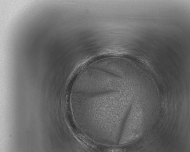 X0000080100736200612221738