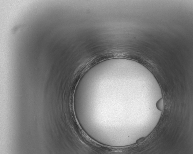 X0000080100740200612221738