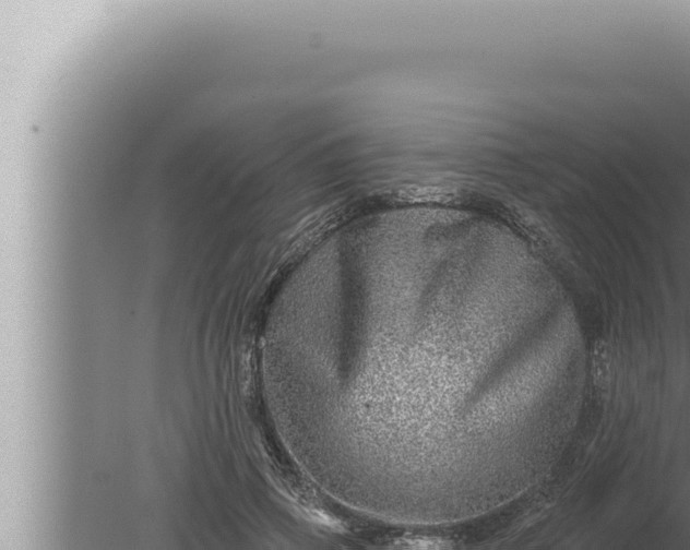 X0000080100741200612221738