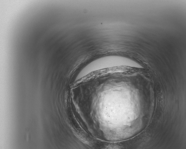 X0000080100742200612221738