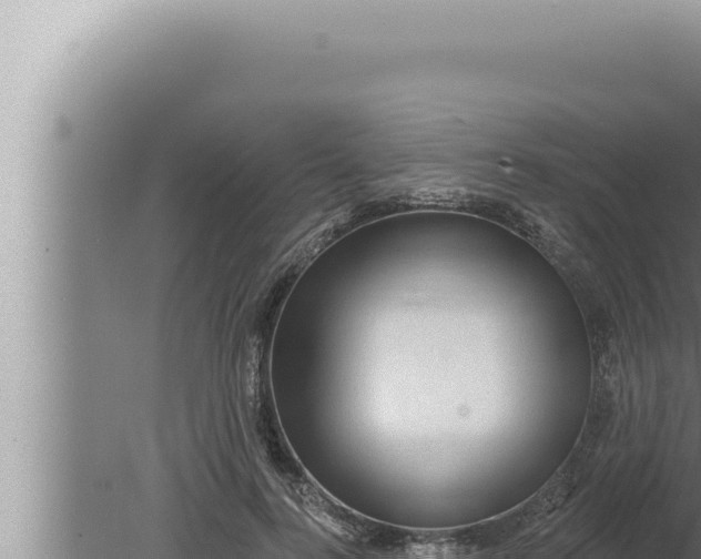 X0000080100744200612221738