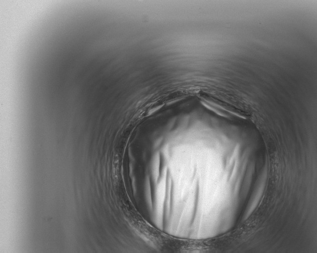 X0000080100745200612221738