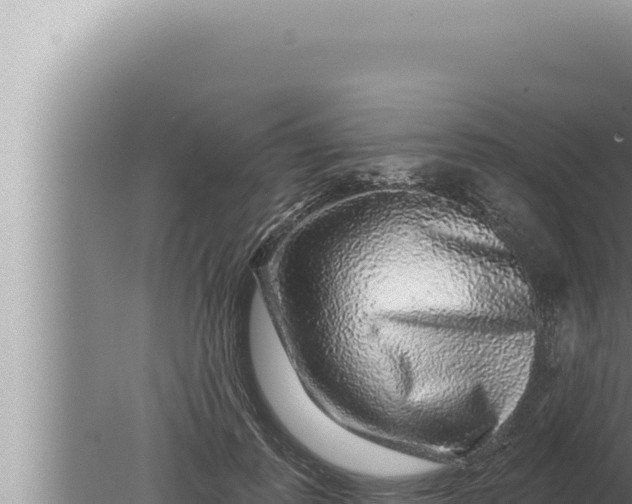 X0000080100747200612221738