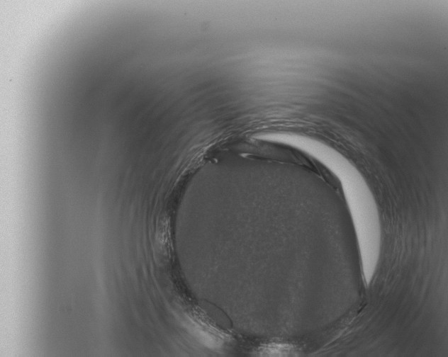 X0000080100748200612221738