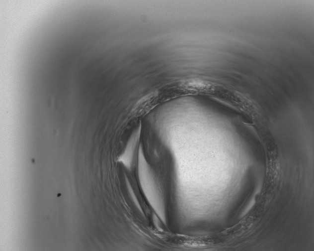 X0000080100749200612221738