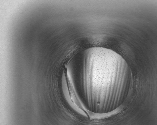 X0000080100750200612221738