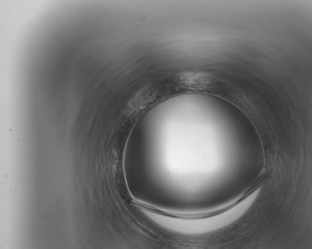 X0000080100752200612221738