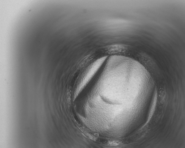 X0000080100753200612221738