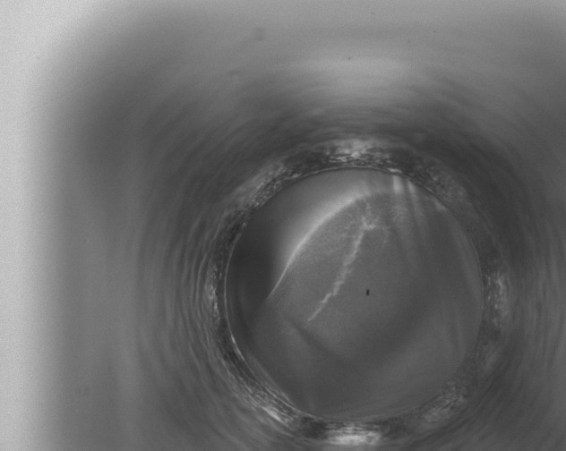 X0000080100754200612221738