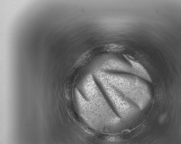 X0000080100755200612221738