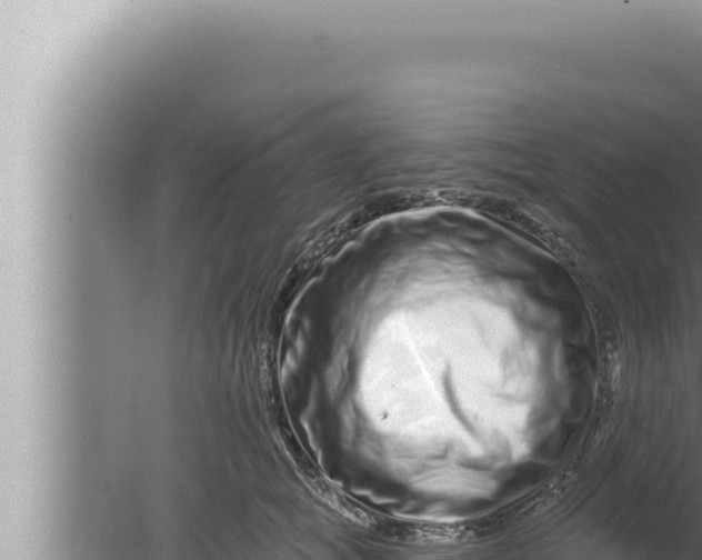 X0000080100757200612221738