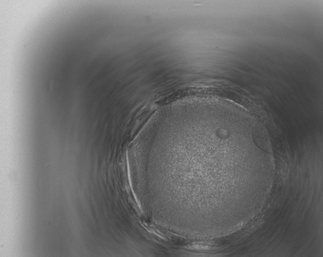 X0000080100758200612221738