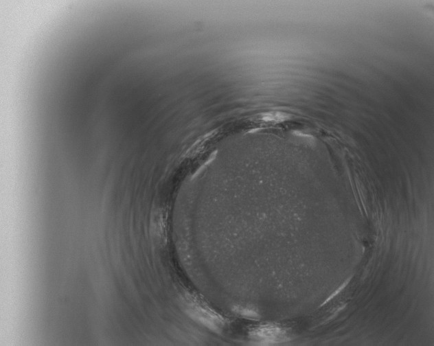 X0000080100759200612221738