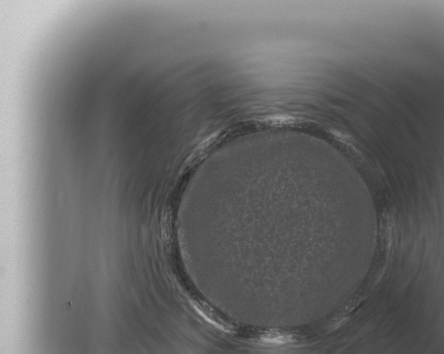 X0000080100760200612221738