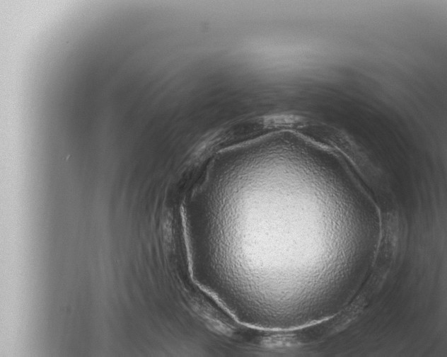 X0000080100761200612221738