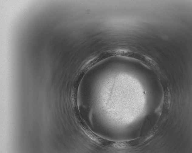 X0000080100762200612221738