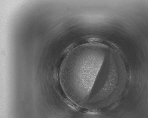 X0000080100763200612221738