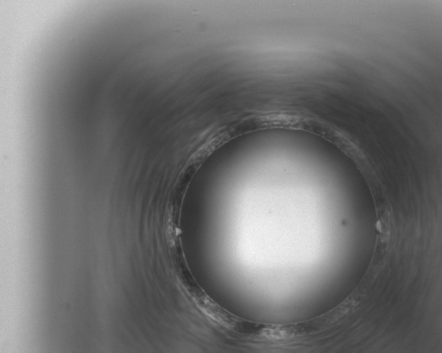 X0000080100764200612221738