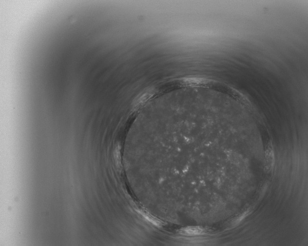 X0000080100765200612221738