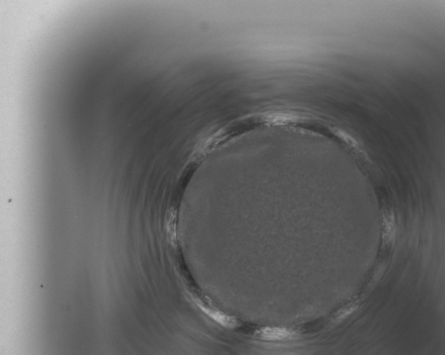 X0000080100766200612221738