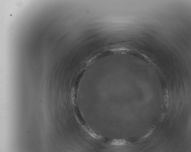 X0000080100767200612221738