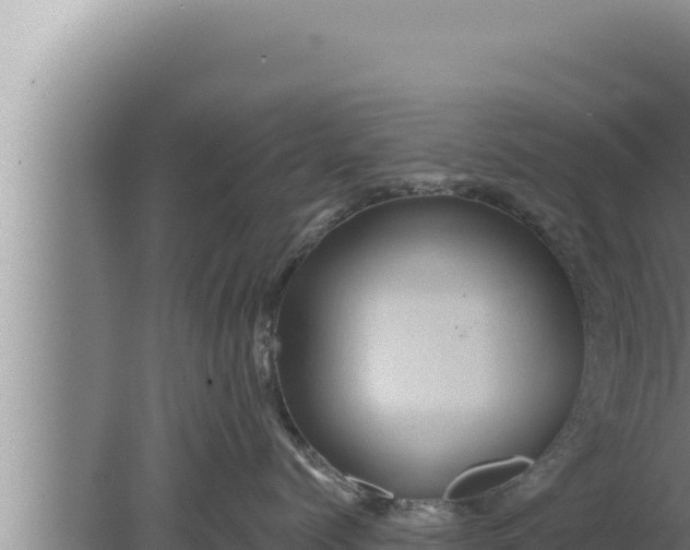 X0000080100768200612221738