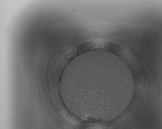 X0000080100769200612221738