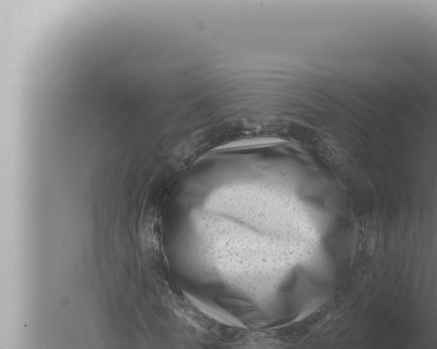 X0000080100770200612221738