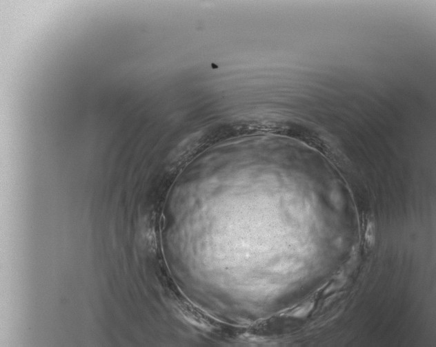 X0000080100771200612221738