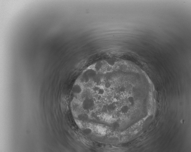 X0000080100772200612221738