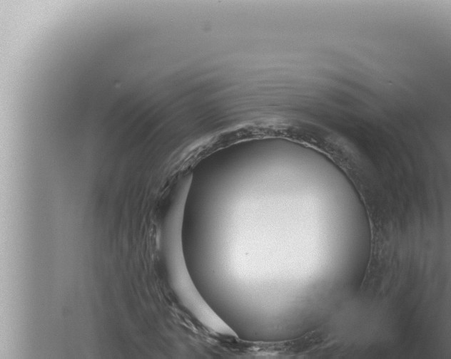 X0000080100773200612221738