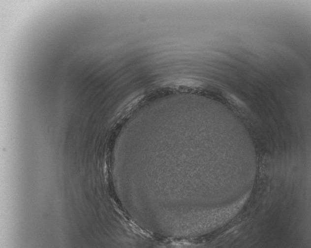 X0000080100774200612221738