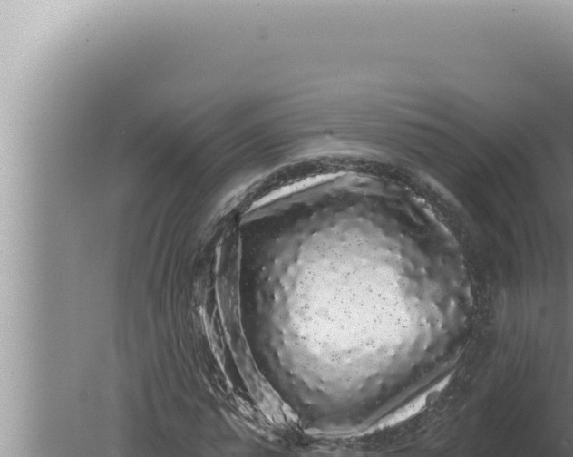 X0000080100775200612221738