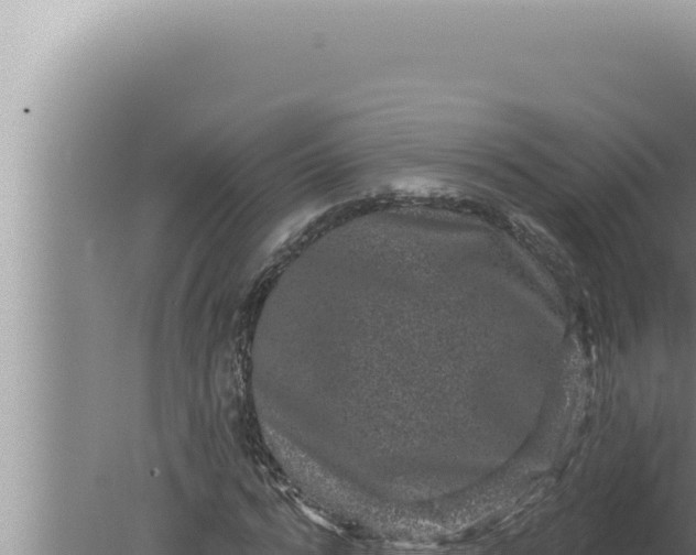 X0000080100776200612221738