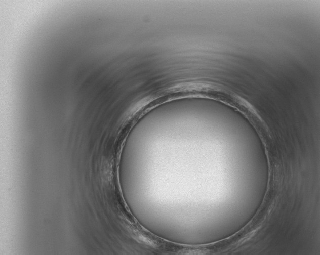 X0000080100778200612221738